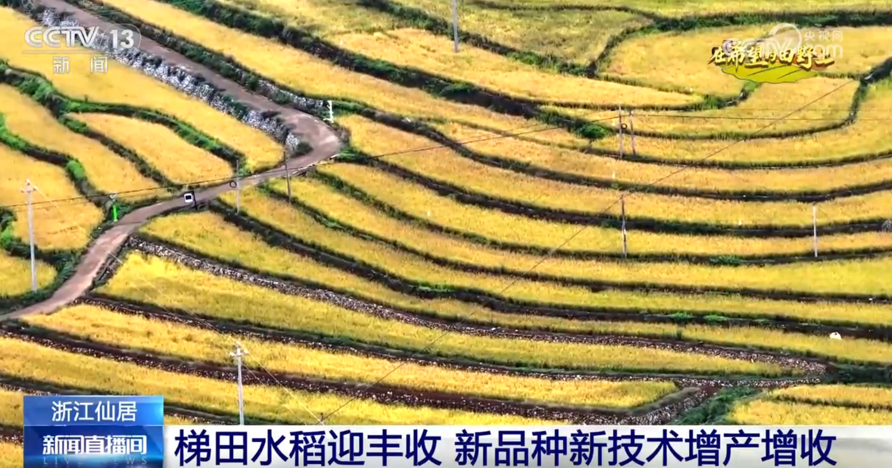 景画卷 农业高“智”量发展行稳致远米乐m6希望的田野上铺展多彩“丰”(图11)